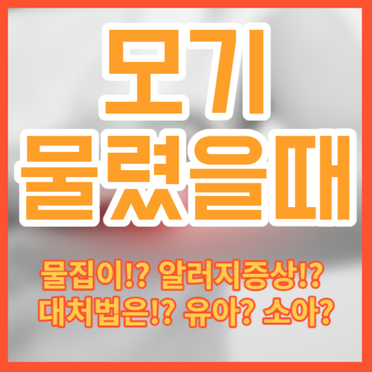 모기 물렸을때 - 물집!? 알러지증상!? 대처법!? 유아? 소아?