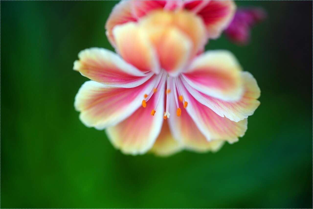 적금 이율 높은 은행