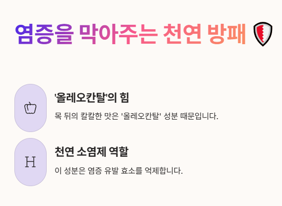 엑스트라버진 올리브오일 효능 : 염증 막아줌