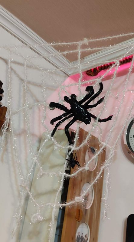 검정테이프를 칭칭 감아 대형 거미를 만들어 달아준 모습