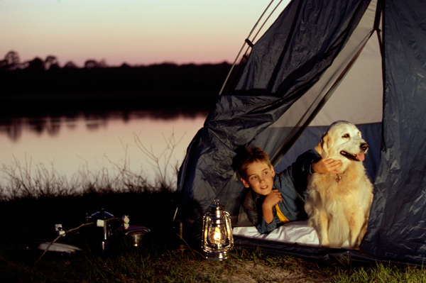반려동물과의 캠핑하기