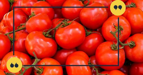 당뇨에 좋은 음식