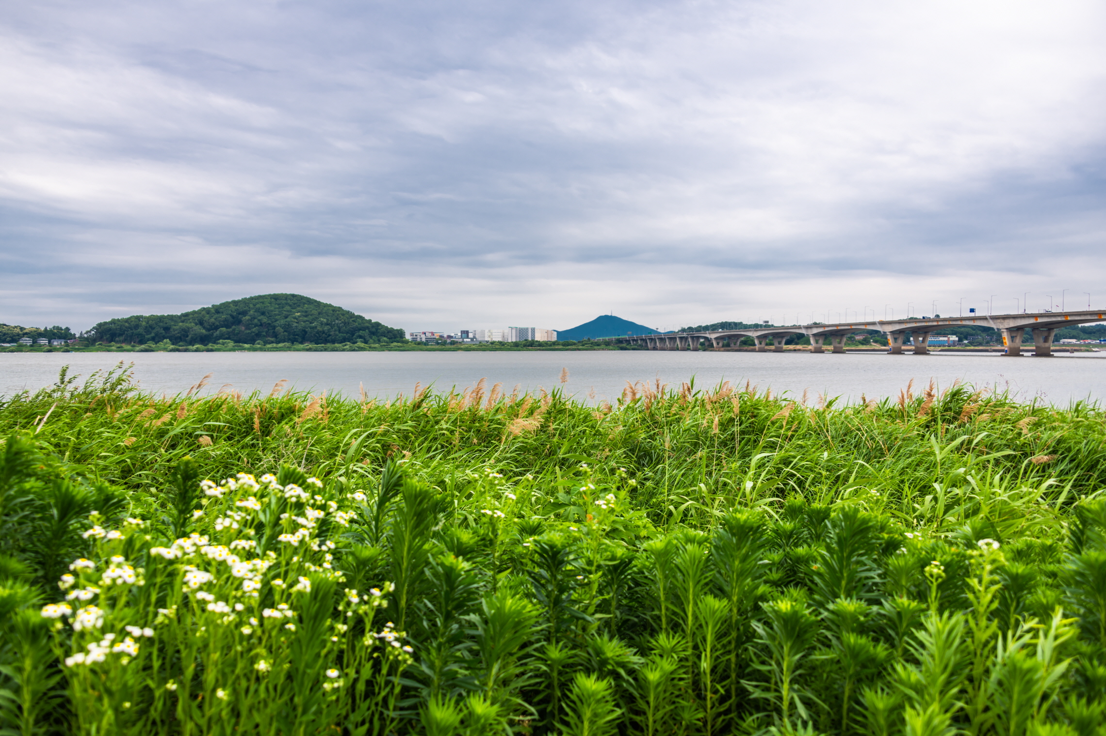 한강을 바라보며 달립니다.