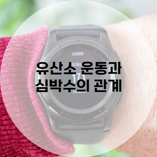 유산소 운동과 심박수의 관계