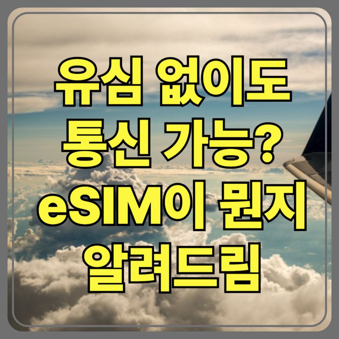 해외여행 환전 꿀팁! 가장 유리한 방법은? (공항/은행/환전앱 비교)