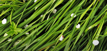 탄소 발자국을 줄이는 생활 속 작은 실천들