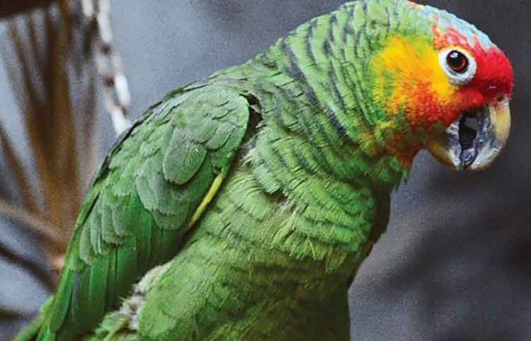 대구 네이처파크