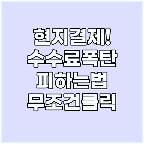 해외여행 현지 결제 이중환전 수수료 ..