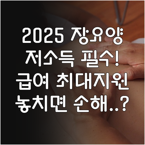 저소득 노인을 위한 2025 노인장기..