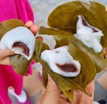 생생정보-의령망개떡-남산떡방앗간