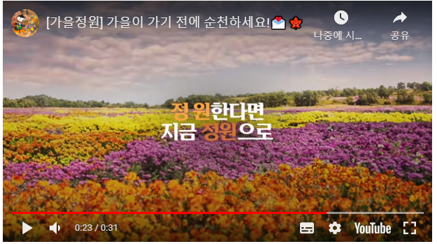 홍보영상