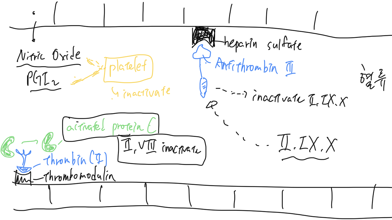 inactivated_coagulation