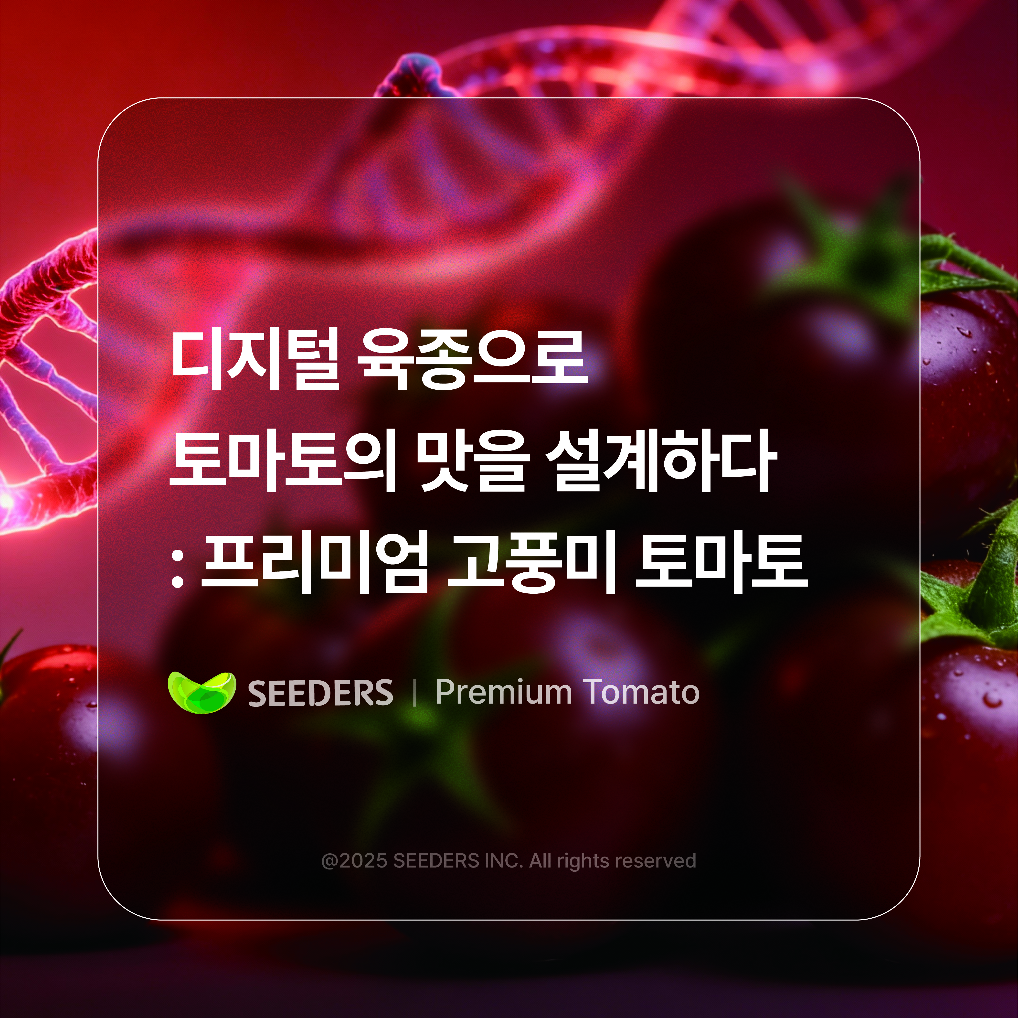 디지털 육종 프리미엄 고풍미 토마토
