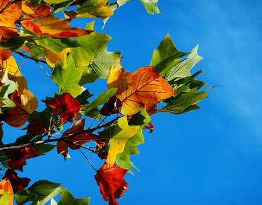 9월 인사말 모음집