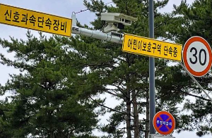 과속신호단속 이미지