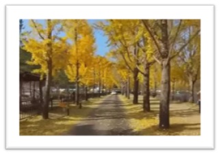 단풍추천명소 문광저수지