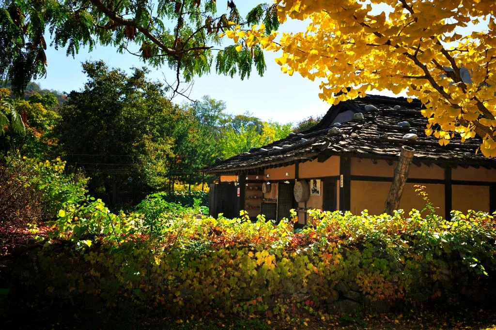 서울에서 정선 아라리촌 가는 대중교통