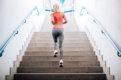 계단 다이어트 유산소 운동 기초대사.