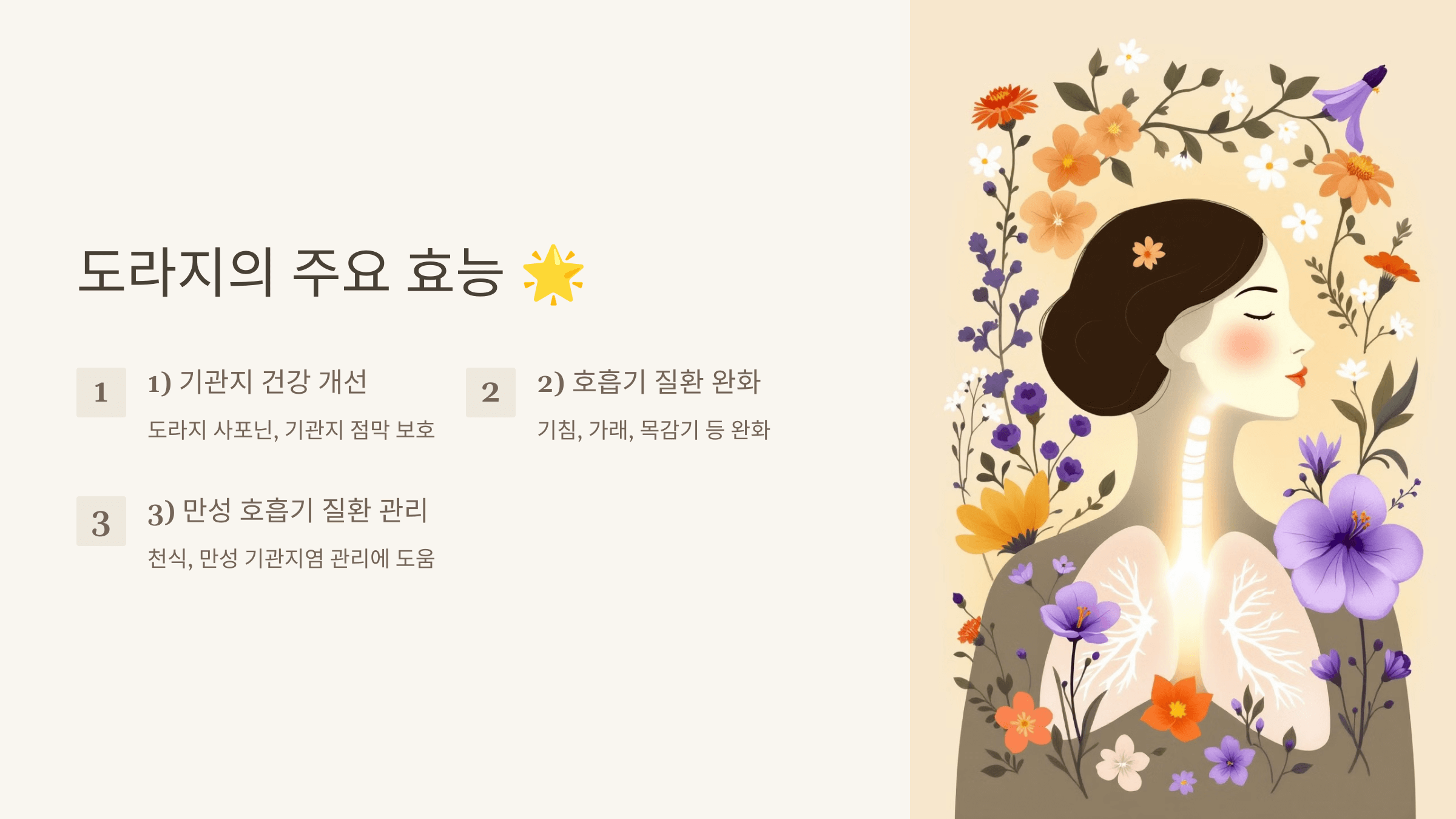 도라지 사진입니다.