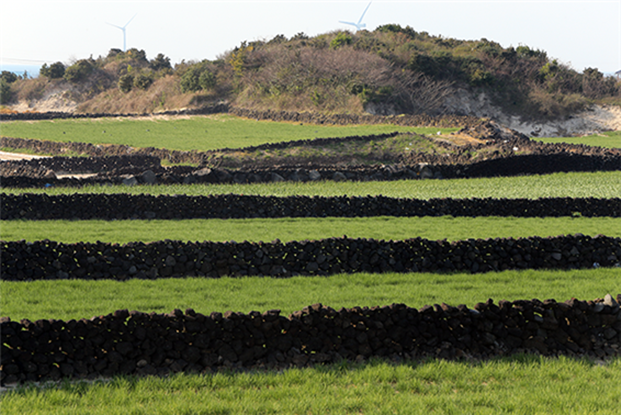 제주화산섬 관련사진