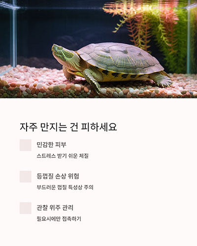 자주 만지는 건 피하세요