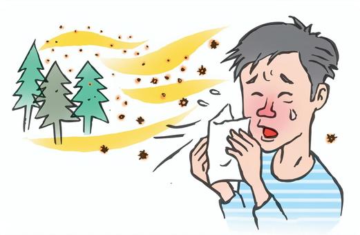 꽃가루 알레르기 증상 치료 예방법