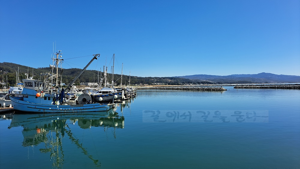 Pillar Point Harbor