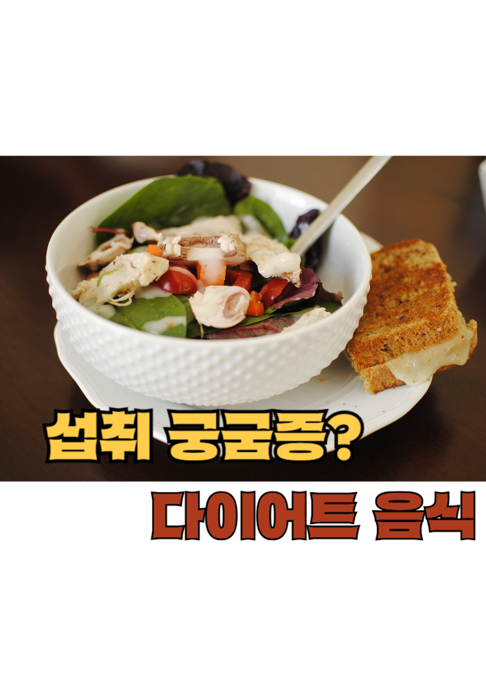 1.다이어트 음식 섭취 궁굼증?