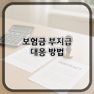 보험금 부지급 대응 방법