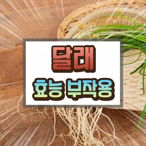 달래 효능 부작용