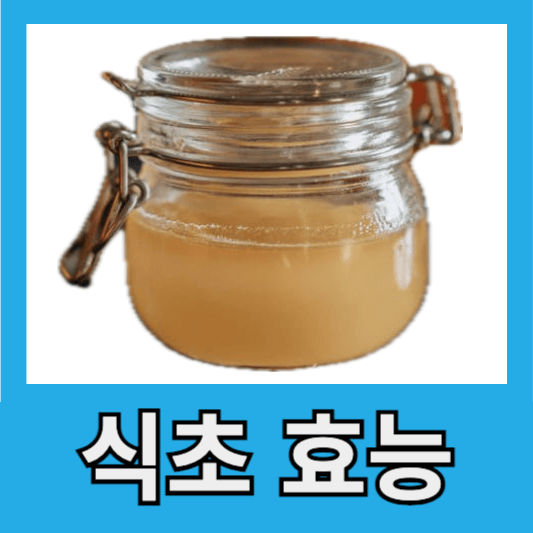 오가닉산 식초의 효능