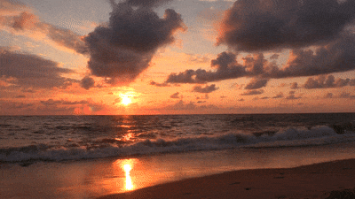 용량이 축소된 gif 파일 확인