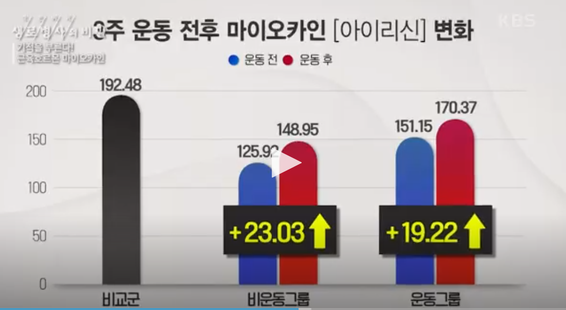 운동-후-아이리신-변화