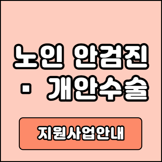 노인 안검진 및 개안수술 지원