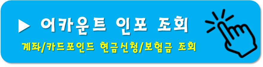 어카운트인포