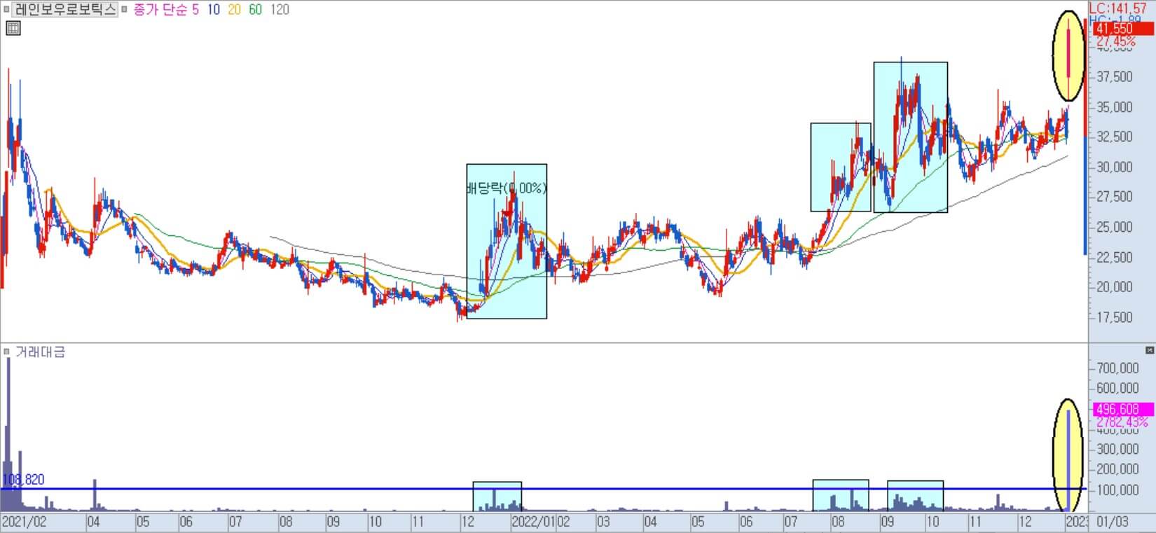 레인보우로보틱스 일봉 차트