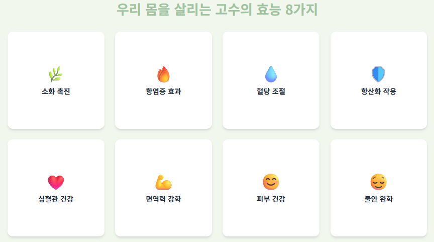 고수 효능 8가지와 부작용, 알레르기 및 부작용, 보관 방법!