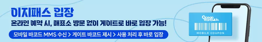 오션월드 입장권