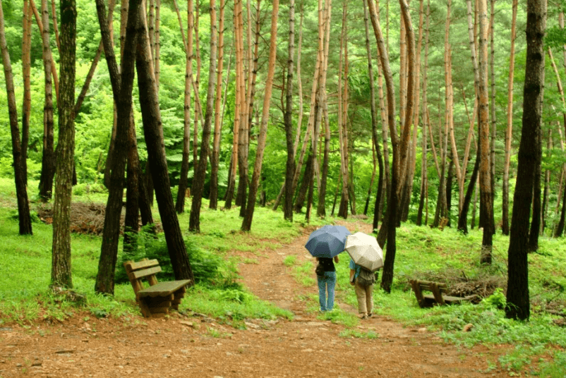 국립 검마산 자연휴양림