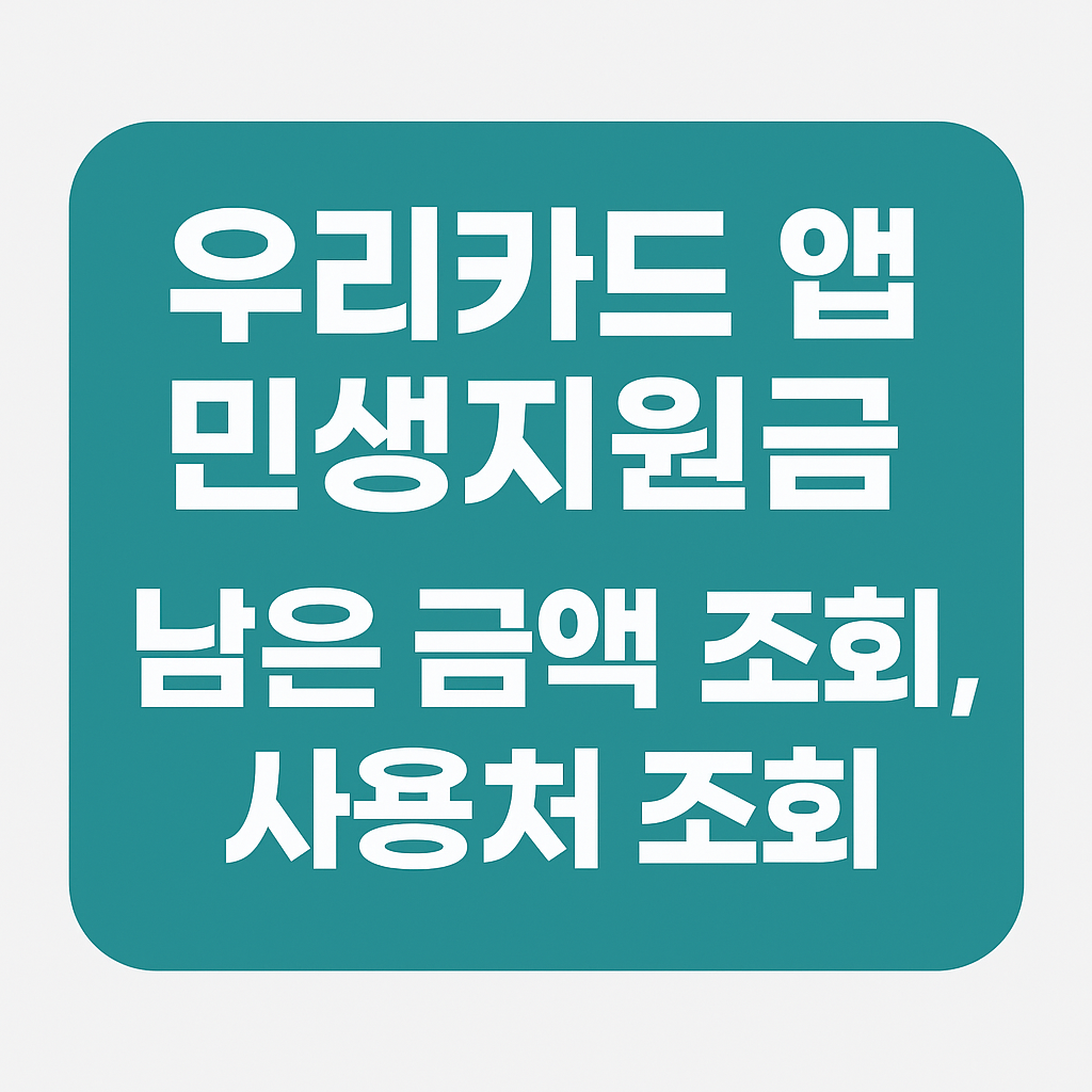민생지원금, 우리카드, 남은금액, 사용처,조회