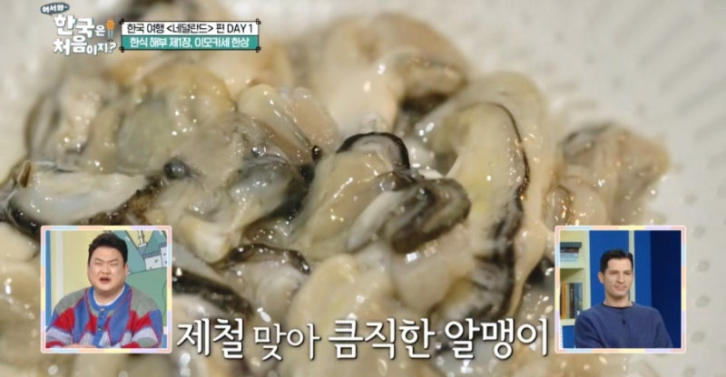 어서 와 한국은 처음이지 네덜란드 편! 이모카세 한 상
