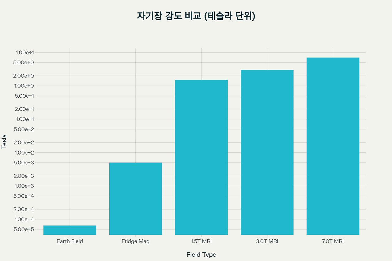 MRI와 금속물질