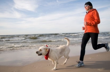 반려견과 다이어트