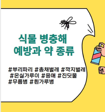 식물 병충해 벌레 종류와 예방법