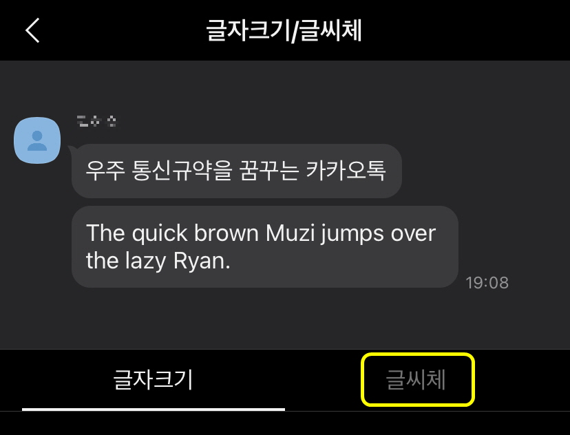 글씨체