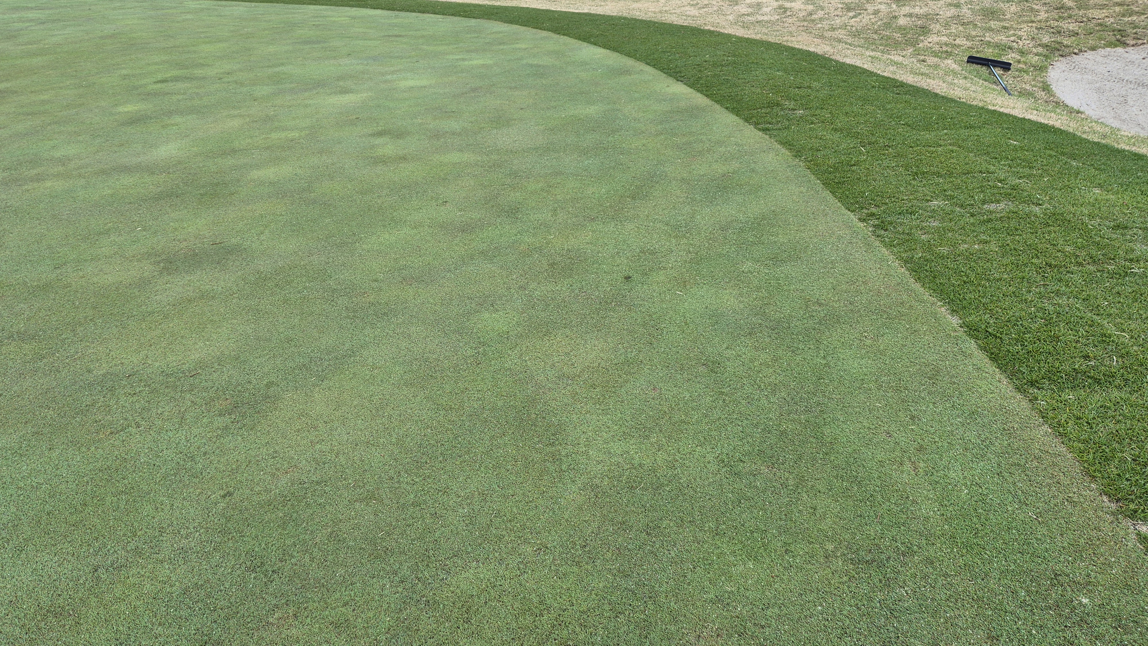 마에스트로cc 라운드 후기