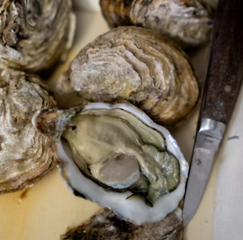 굴 효능 부작용 칼로리