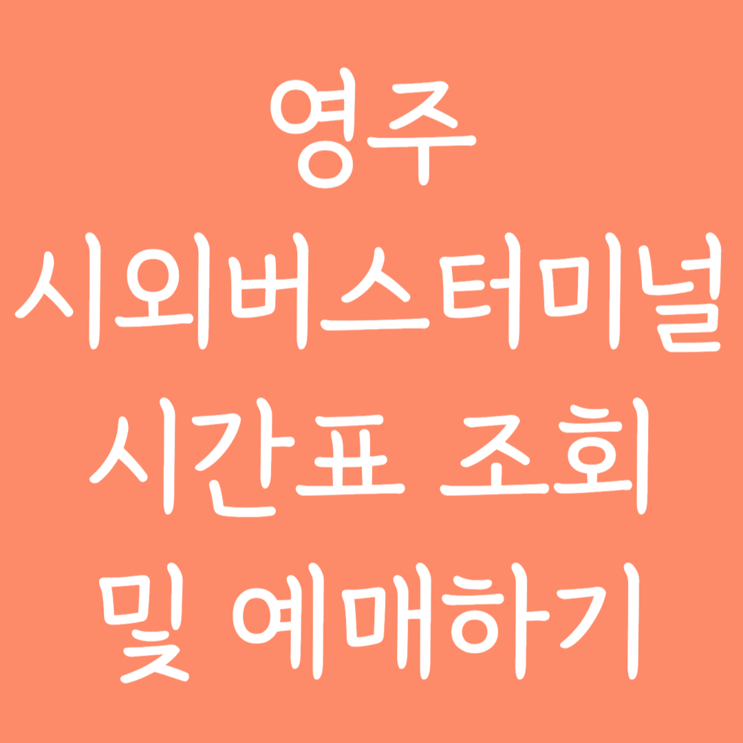 영주 시외버스터미널 시간표조회 및 예매하기