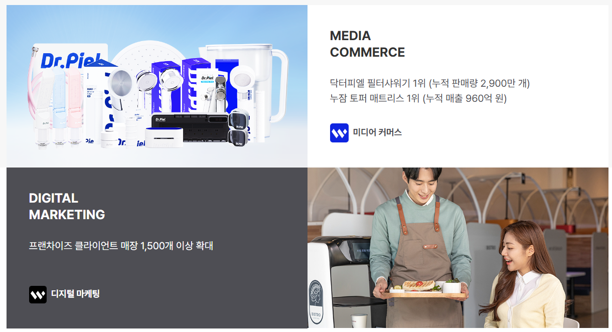 와이즈플래닛컴퍼니 공모주