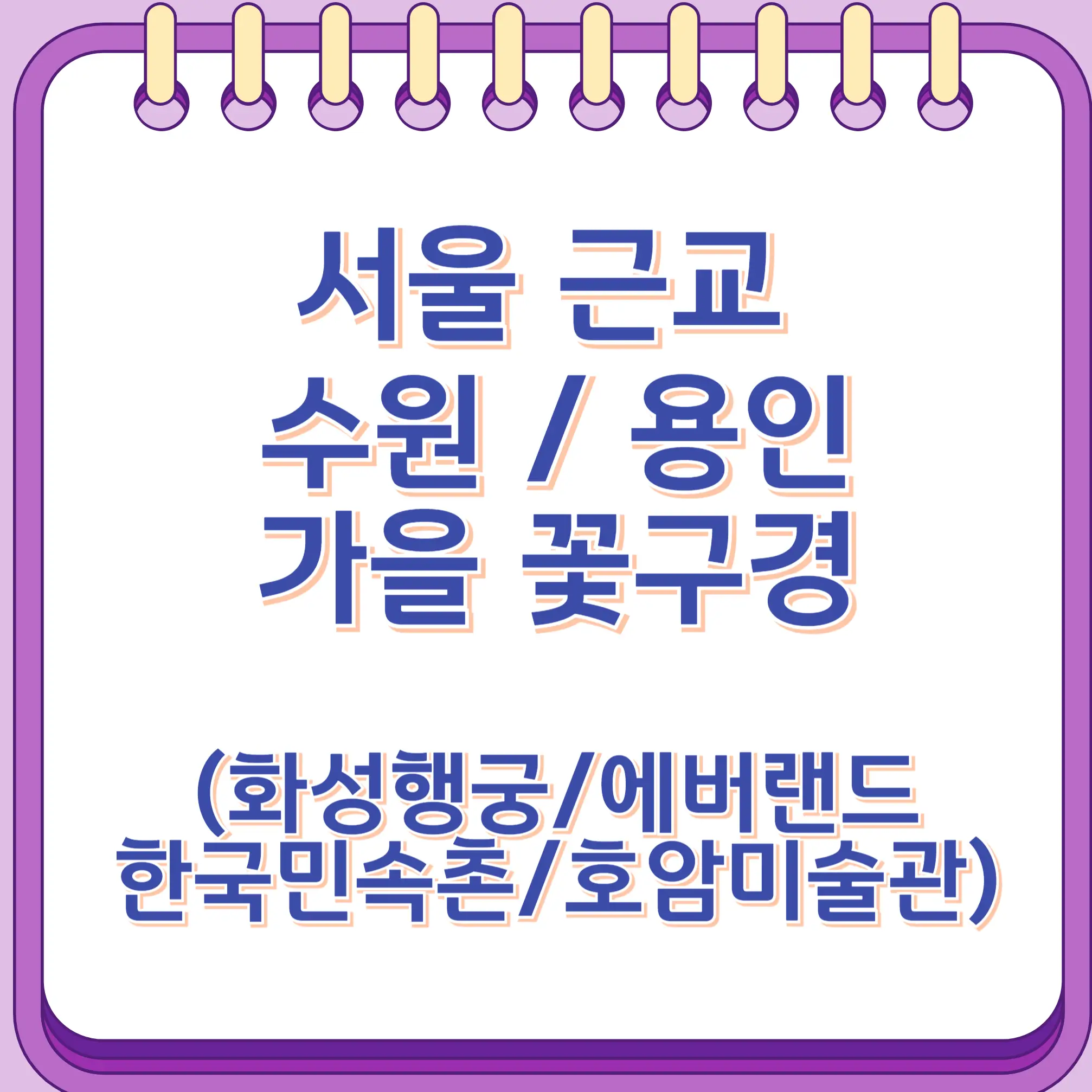 서울근교 수원 용인 가을꽃
